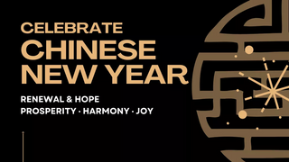 17 February,_1048_589.png