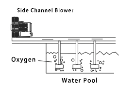 How Deep the Pool Can Side Channel Blower Be Used In