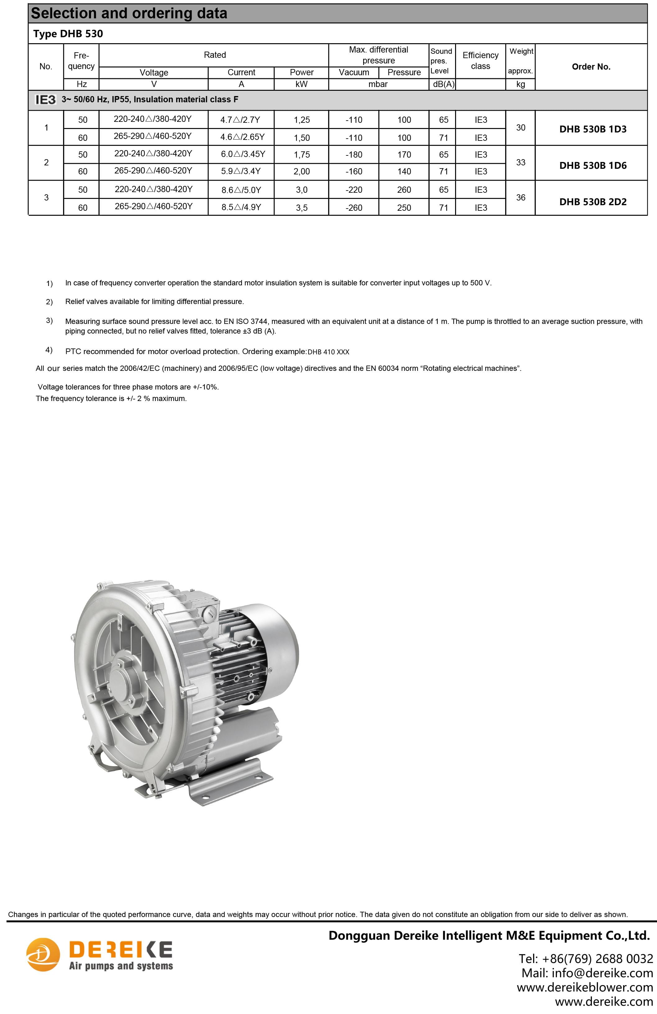 Dereike IE3 catalogue-12